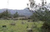 BLCS005, Large Plot Of Land With Unspoiled Views of Mountains and Sea