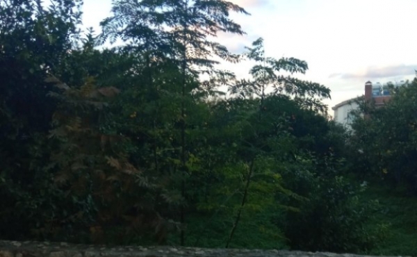 8_600x800 8_600x800