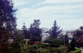9_450x800_432x768